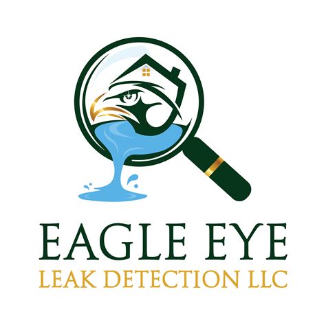 pool leak detection las vegas|Eagle Eye Leak Detection 